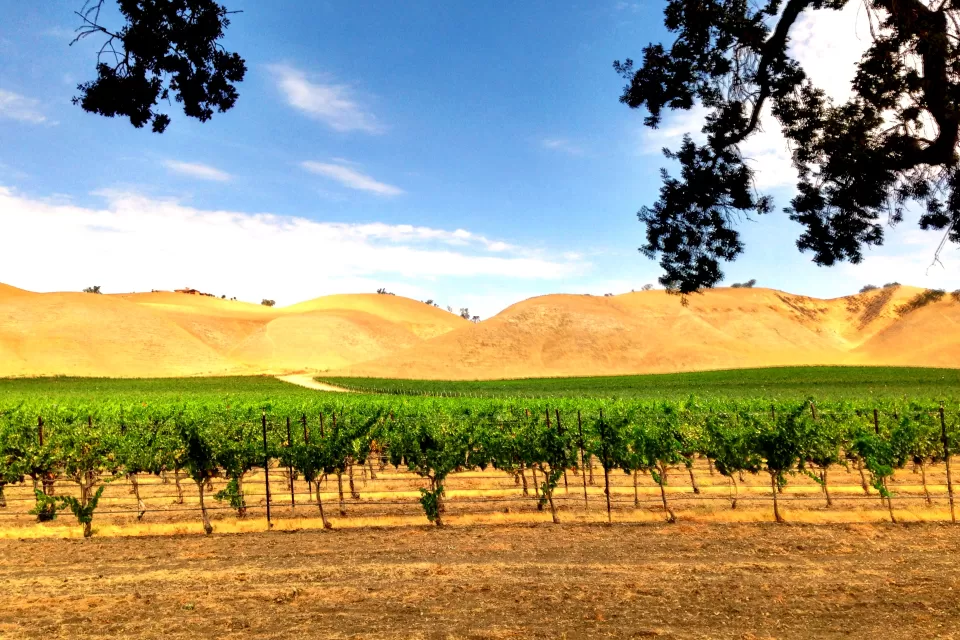 An image of a winery in Paso Robles